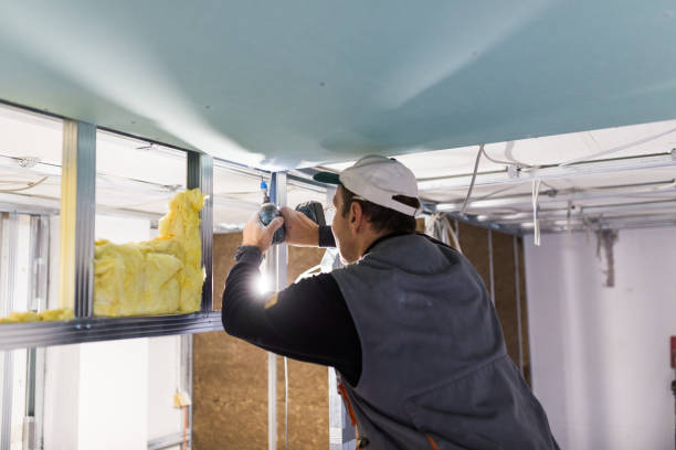 Best Insulation for New Construction  in Forest Hill, TX