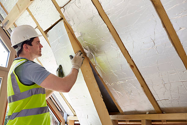 Best Spray Foam Insulation  in Forest Hill, TX